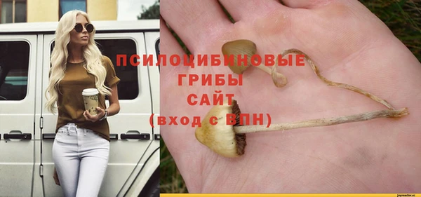 ГАЛЛЮЦИНОГЕННЫЕ ГРИБЫ Алексеевка