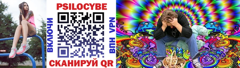 мега ТОР что такое наркотик Слободской Псилоцибиновые грибы Psilocybe